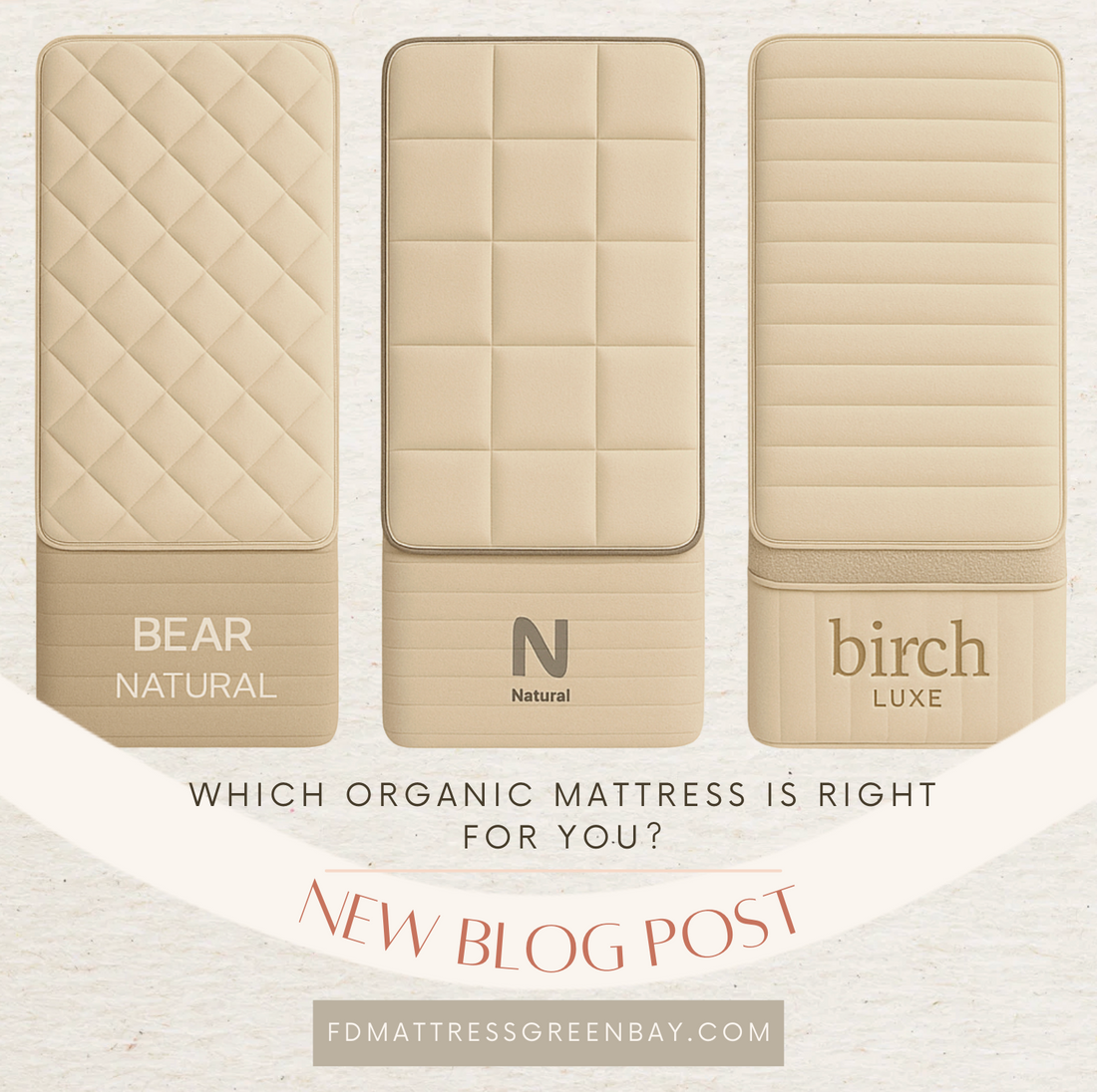 Bear Natural vs Nolah Natural vs Birch Luxe — Which Organic Mattress Is Right for You?