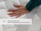 Leesa Sapira Chill Hybrid Mattress