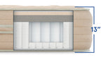 Bear Natural Latex Hybrid Mattress